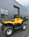 КВАДРОЦИКЛ IRBIS ATV 250  в Архангельске