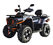Квадроцикл MOTOLAND (МОТОЛЕНД) 300 MAX X в Архангельске