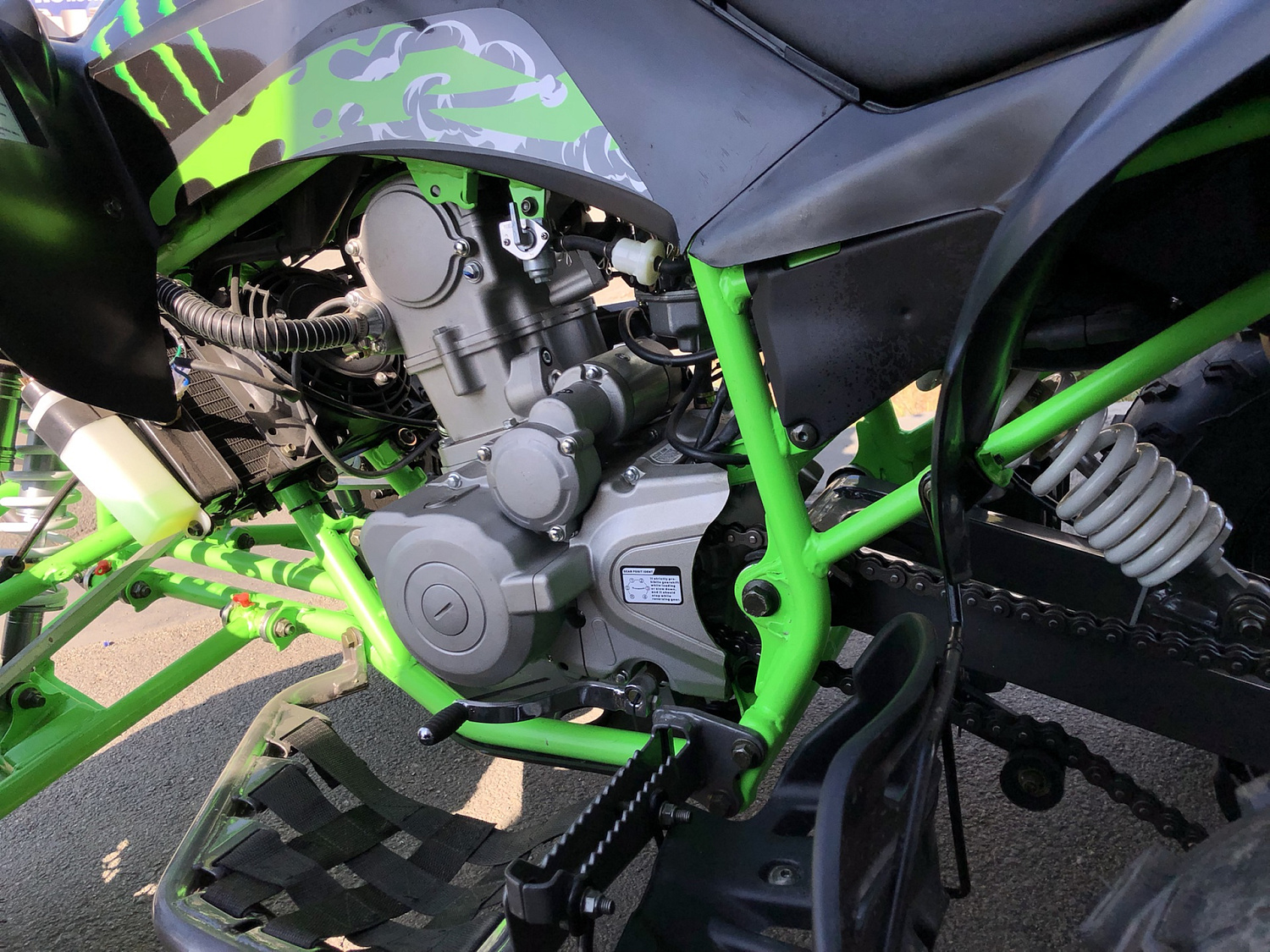 Квадроцикл PROMAX RAPTOR 300 NEW Monster в Архангельске