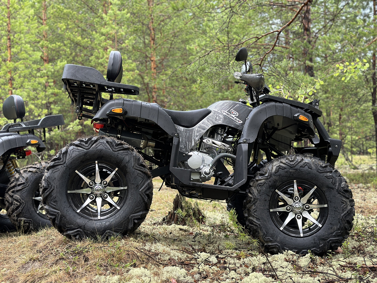 Квадроцикл PROMAX 320 DOMINATOR PRO (2025) в Архангельске