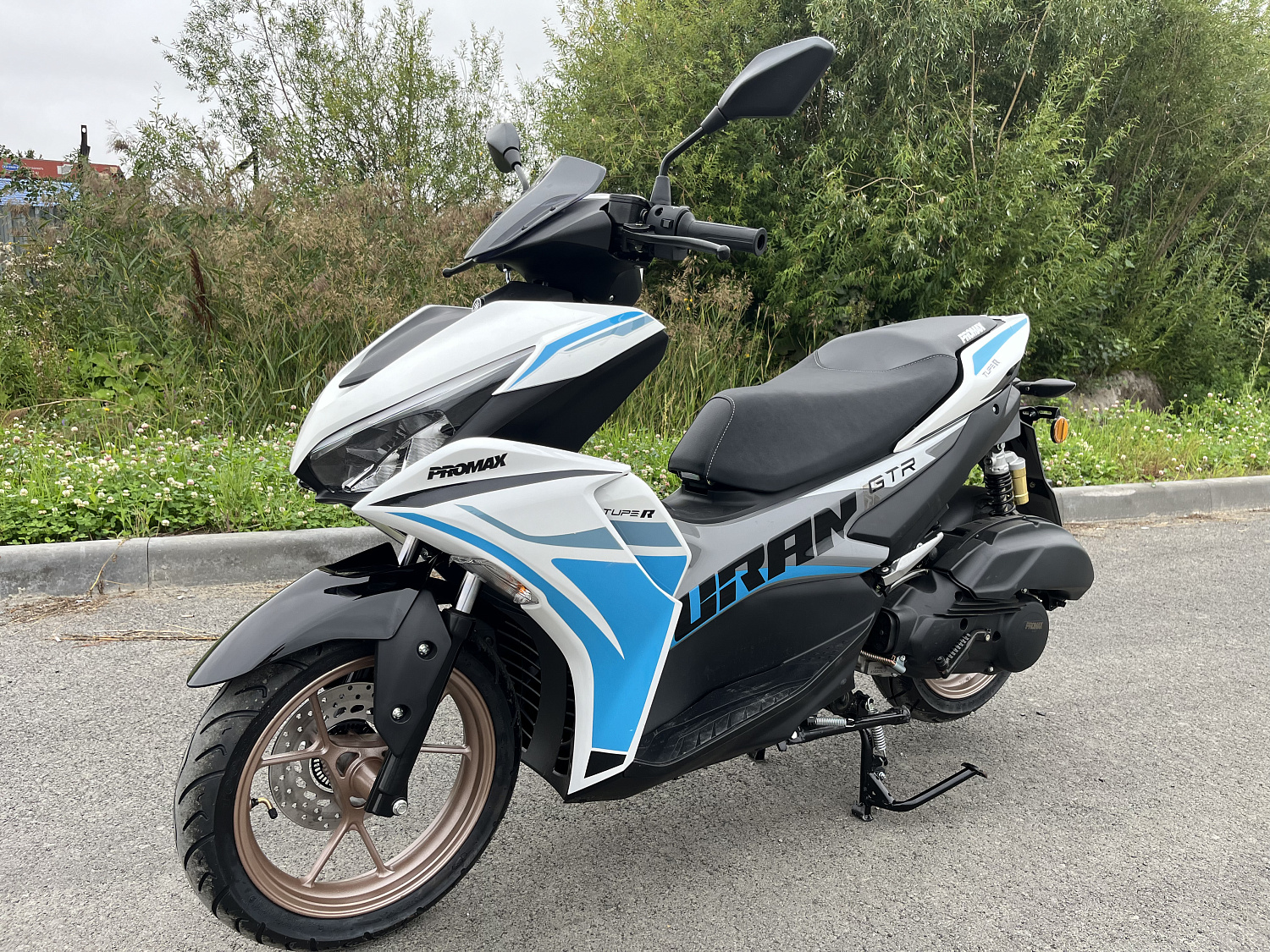 Скутер PROMAX TURAN 250 (49) в Архангельске