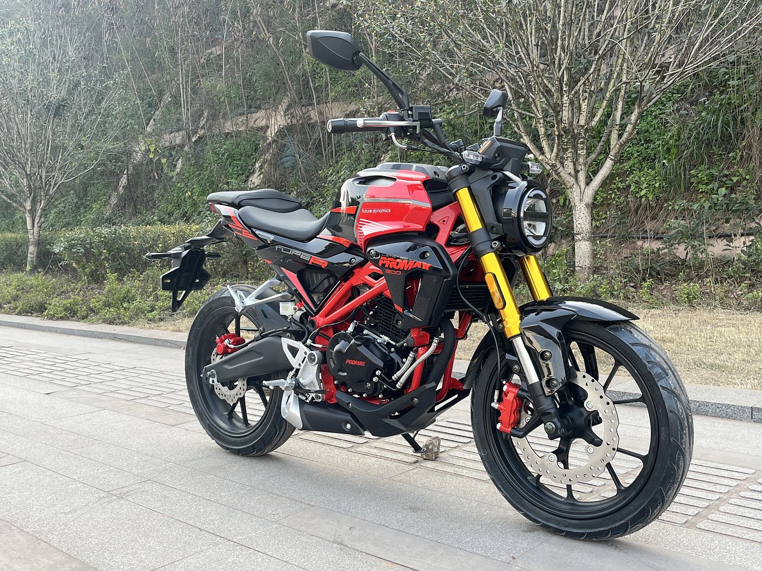 Мотоцикл PROMAX CB300 в Архангельске