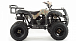 Квадроцикл MOTOLAND (МОТОЛЕНД) 200 ALL ROAD в Архангельске