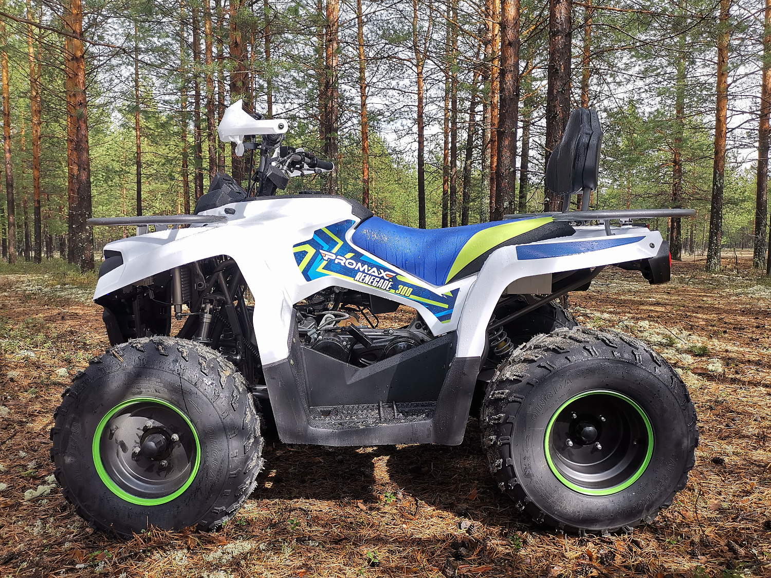 Квадроцикл PROMAX RENEGADE 280 (2025) в Архангельске