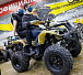 Квадроцикл PROMAX ATV 250 (2025) в Архангельске