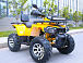 Квадроцикл MOTOLAND (МОТОЛЕНД) VOX200 WILD TRACK X PRO (баланс. вал) в Архангельске