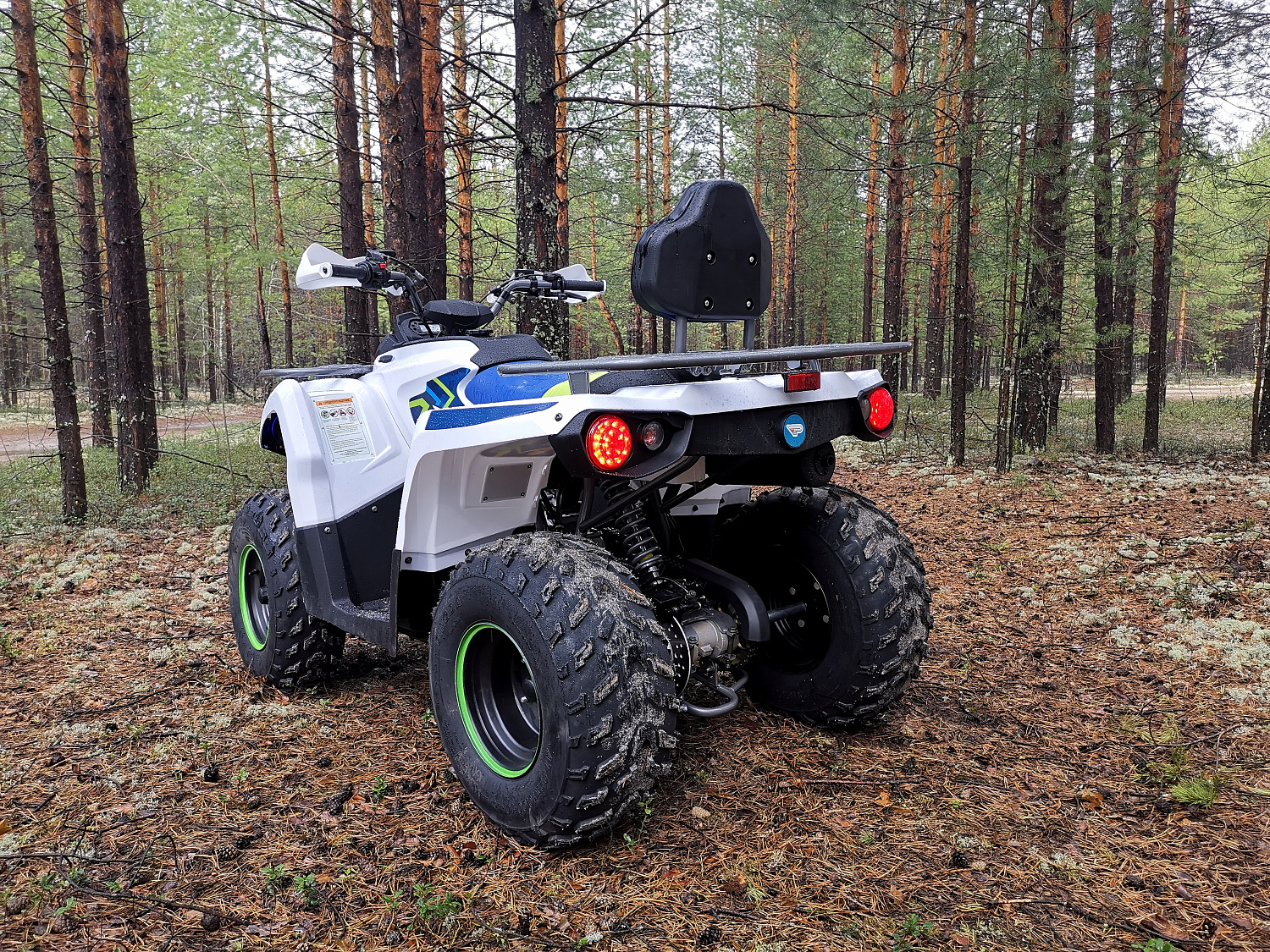 Квадроцикл PROMAX RENEGADE 280 (2025) в Архангельске