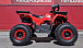 Квадроцикл PROMAX WILD 175 BASIC в Архангельске