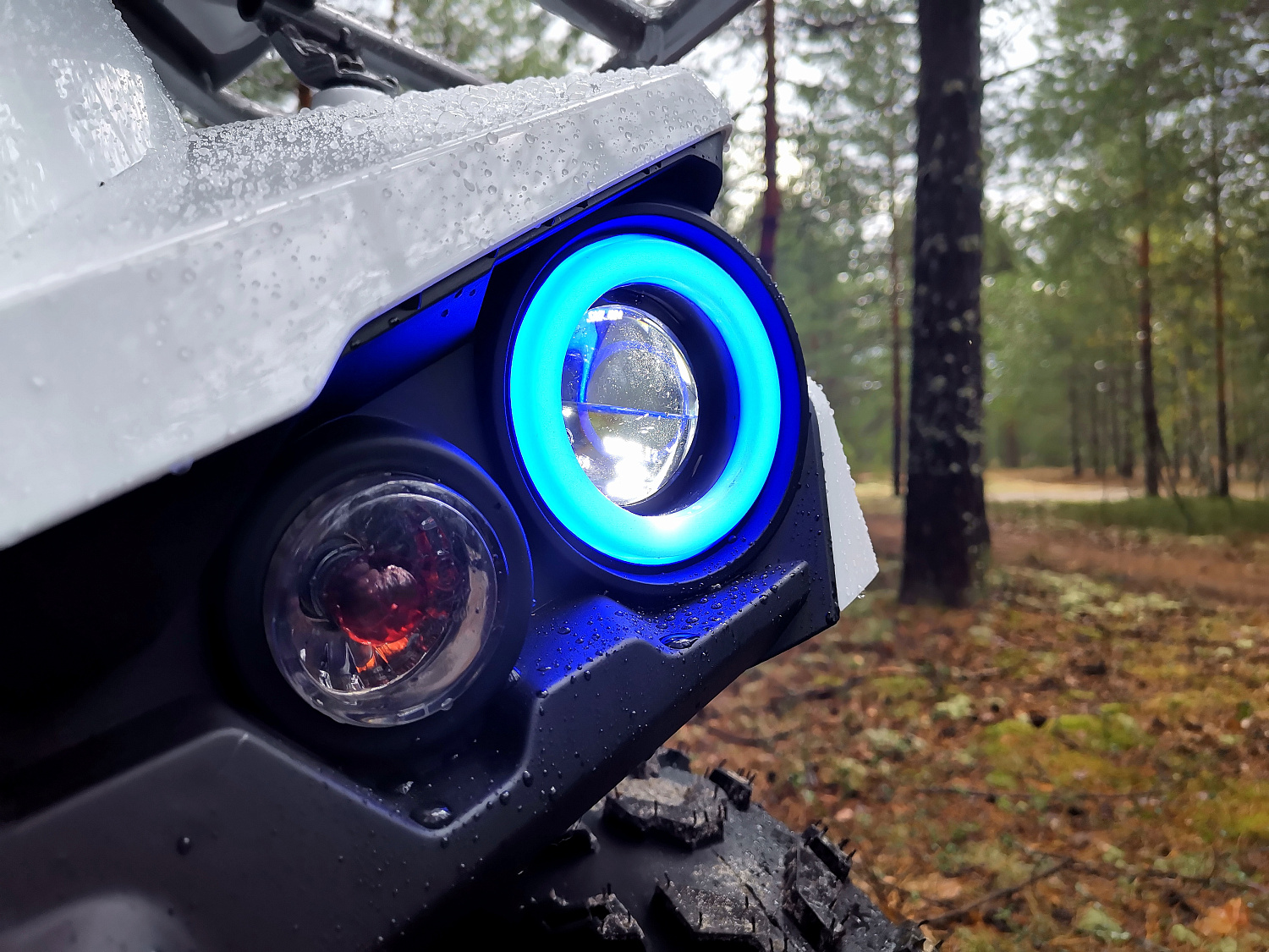 Квадроцикл PROMAX RENEGADE 280 (2025) в Архангельске