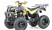 Квадроцикл MOTOLAND (МОТОЛЕНД) 250 ADVENTURE в Архангельске