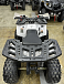Квадроцикл PROMAX WILD 2.0 190 в Архангельске