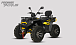 Квадроцикл PROMAX TAURUS 300 MAX-PRO LONG в Архангельске